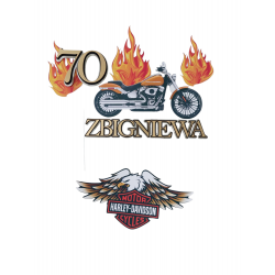 Topper 3d motor logo Harley Davidson ogień