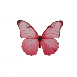 Motyl motylki dekoracja papierowa 10szt różowe